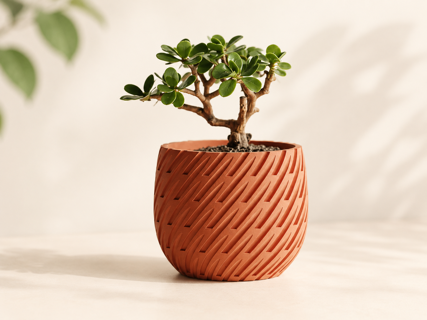 Chậu Cây Họa Tiết Chuyển Động Hiện Đại