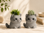Chậu Cây Mèo Con Dễ Thương