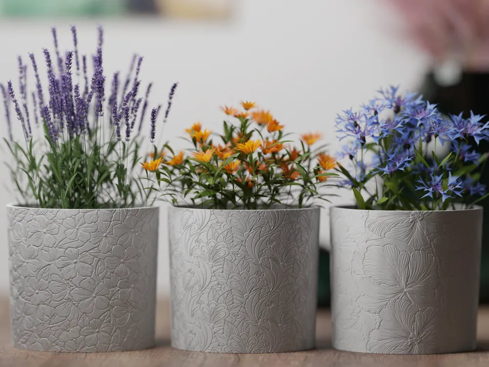 Chậu Cây Decor Mùa Xuân Họa Tiết Hoa