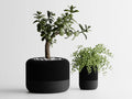 Chậu Cây Hiện Đại Kiểu Apple Home Pod