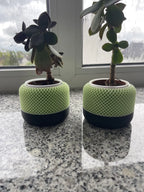 Chậu Cây Hiện Đại Kiểu Apple Home Pod