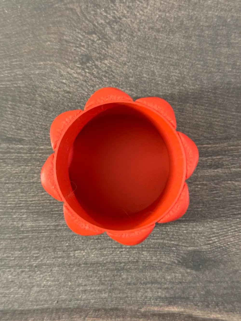 Chậu Cây Vải Bơm Phồng – Series 4