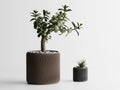 Chậu Cây Gợn Sóng – Planter 1