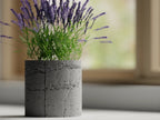 Chậu Cây Bê Tông – Planter 1
