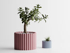 Chậu Cây Tròn – Planter 1