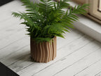 Chậu Cây Sóng Nổi – Planter 2