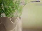 Chậu Cây Sóng Nổi – Planter 1
