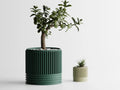 Chậu Cây Gân Delta 2 Chiều – Planter 1