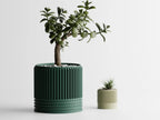 Chậu Cây Gân Delta 2 Chiều – Planter 1