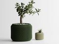 Chậu Cây Gân Delta Xoắn – Planter 1
