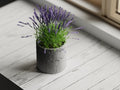 Chậu Cây Bê Tông – Planter 1