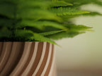 Chậu Cây Sóng Xoắn – Planter 2