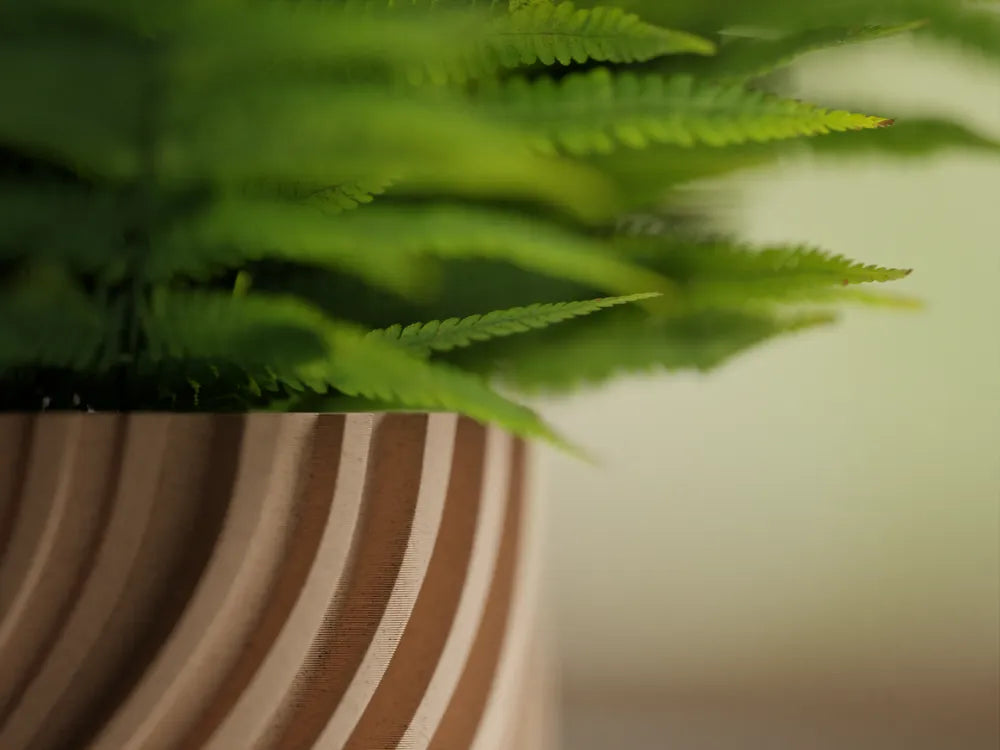 Chậu Cây Sóng Xoắn – Planter 2