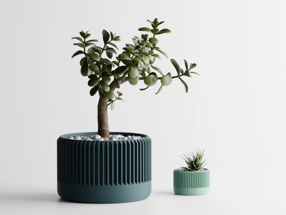 Chậu Cây Gân Delta – Planter 1