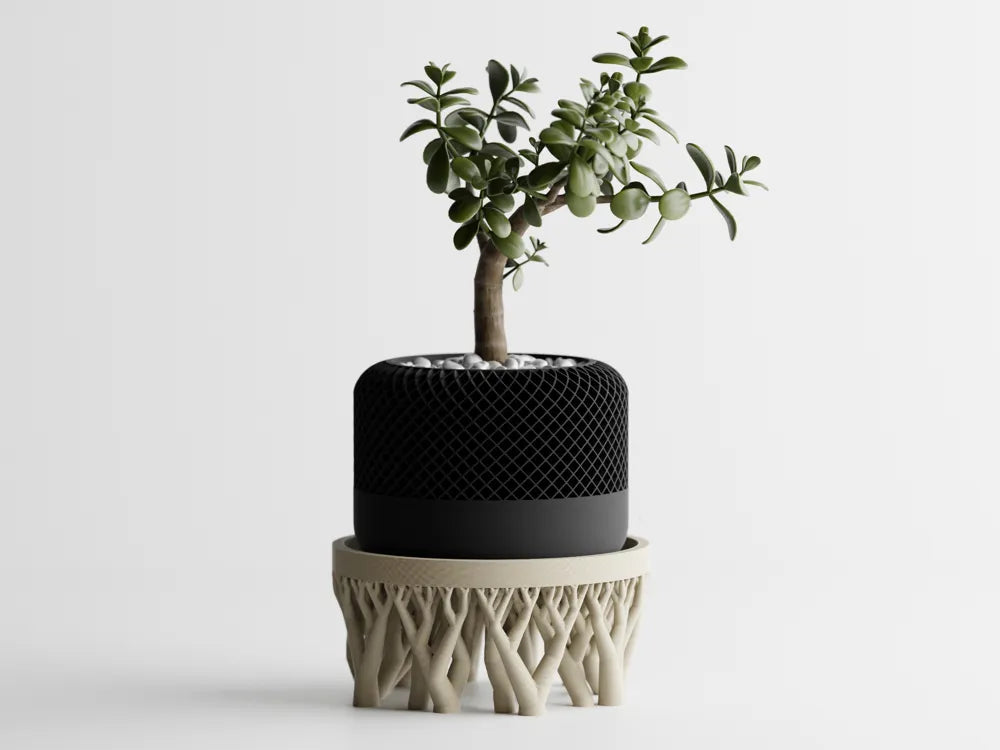 Chậu Cây & Giá Đỡ Hữu Cơ