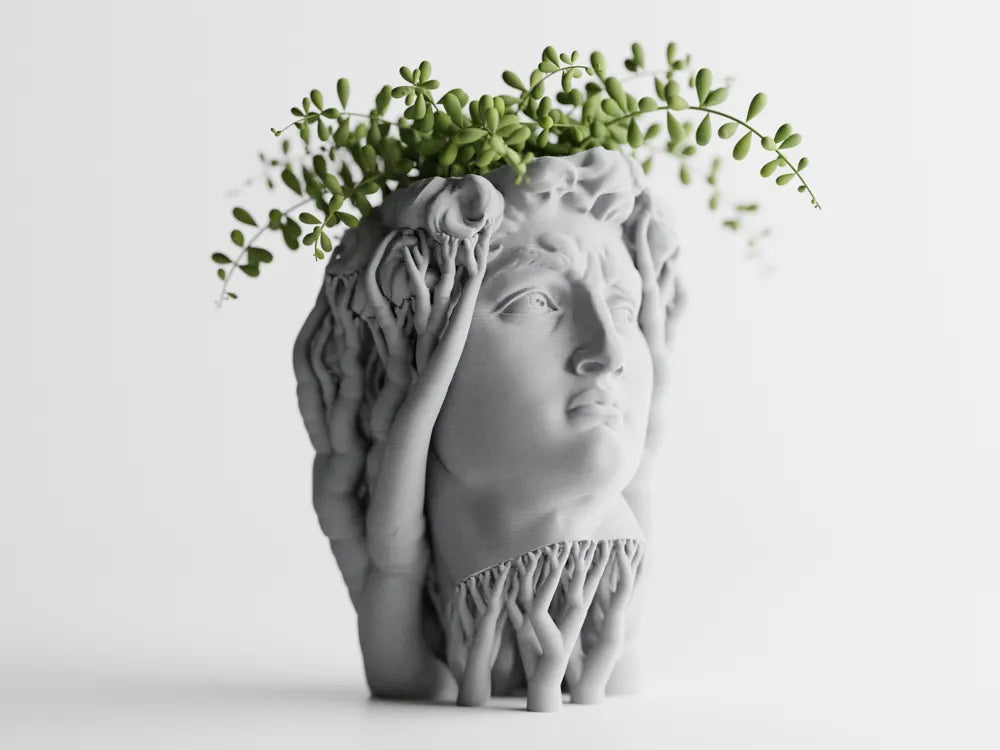 Chậu Cây Hữu Cơ David