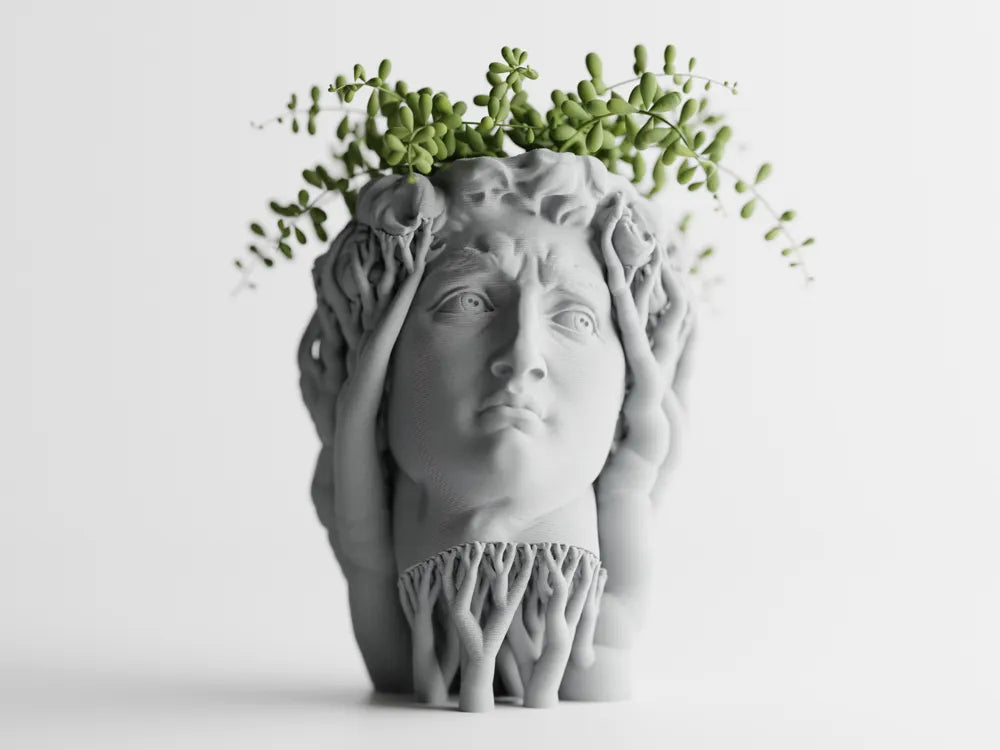 Chậu Cây Hữu Cơ David