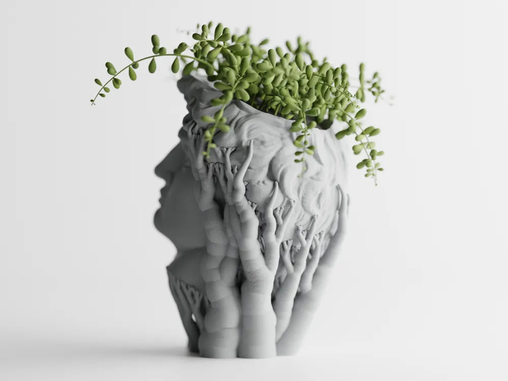Chậu Cây Hữu Cơ David