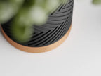 Chậu Cây Gân Zigzag Hai Màu