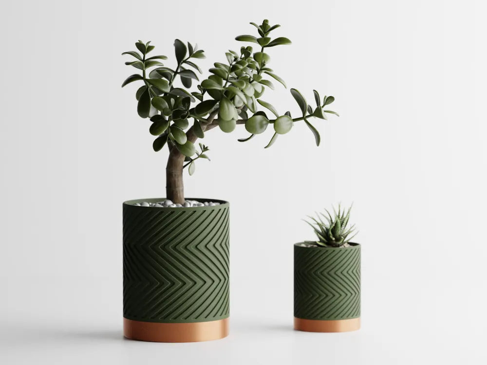 Chậu Cây Gân Zigzag Hai Màu