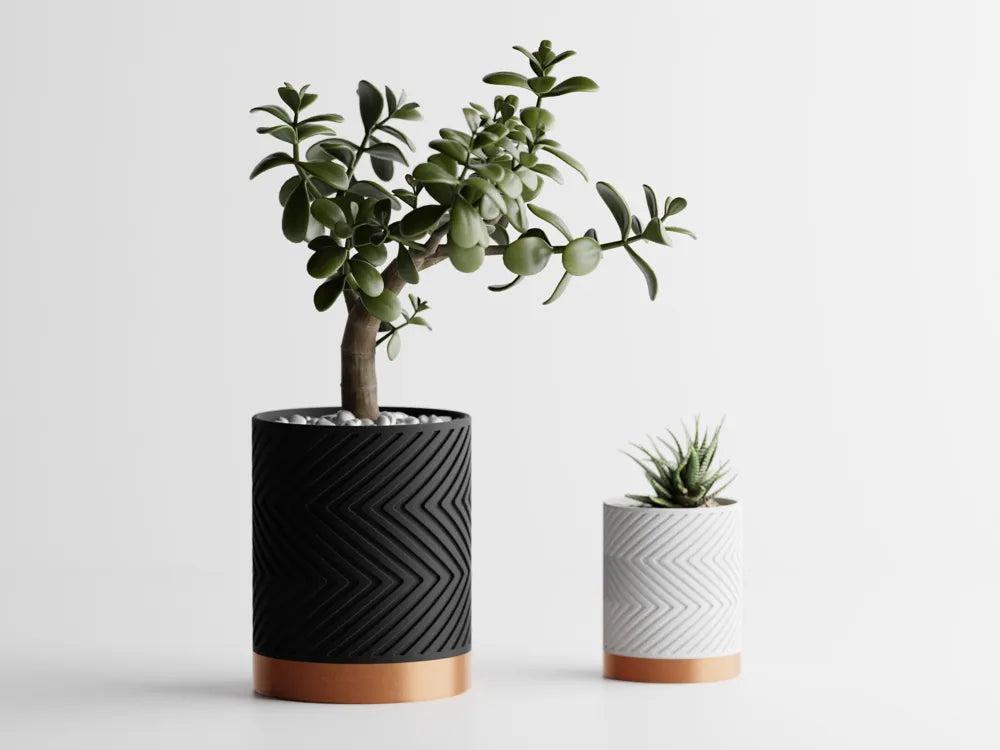 Chậu Cây Gân Zigzag Hai Màu