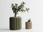 Chậu Cây Tam Giác Gân Lớn – Planter 1