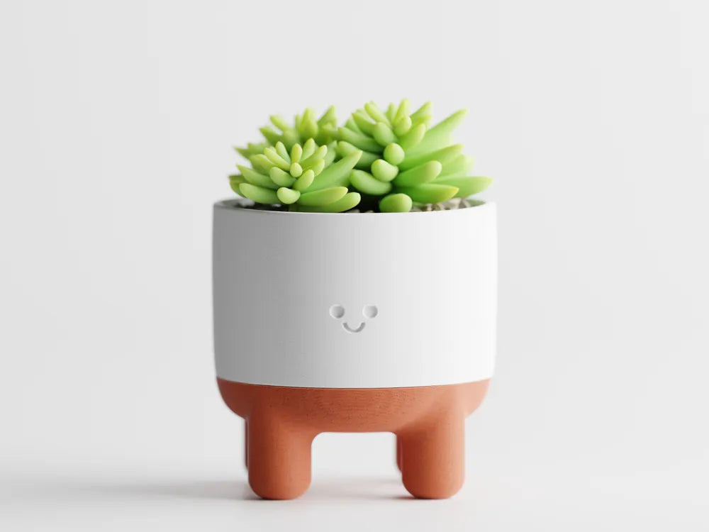 Chậu Cây Mặt Cười Dễ Thương