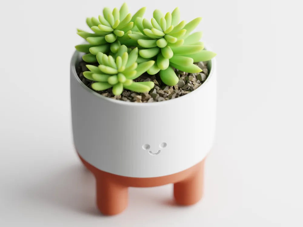 Chậu Cây Mặt Cười Dễ Thương