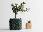 Chậu Cây Địa Tầng Voronoi
