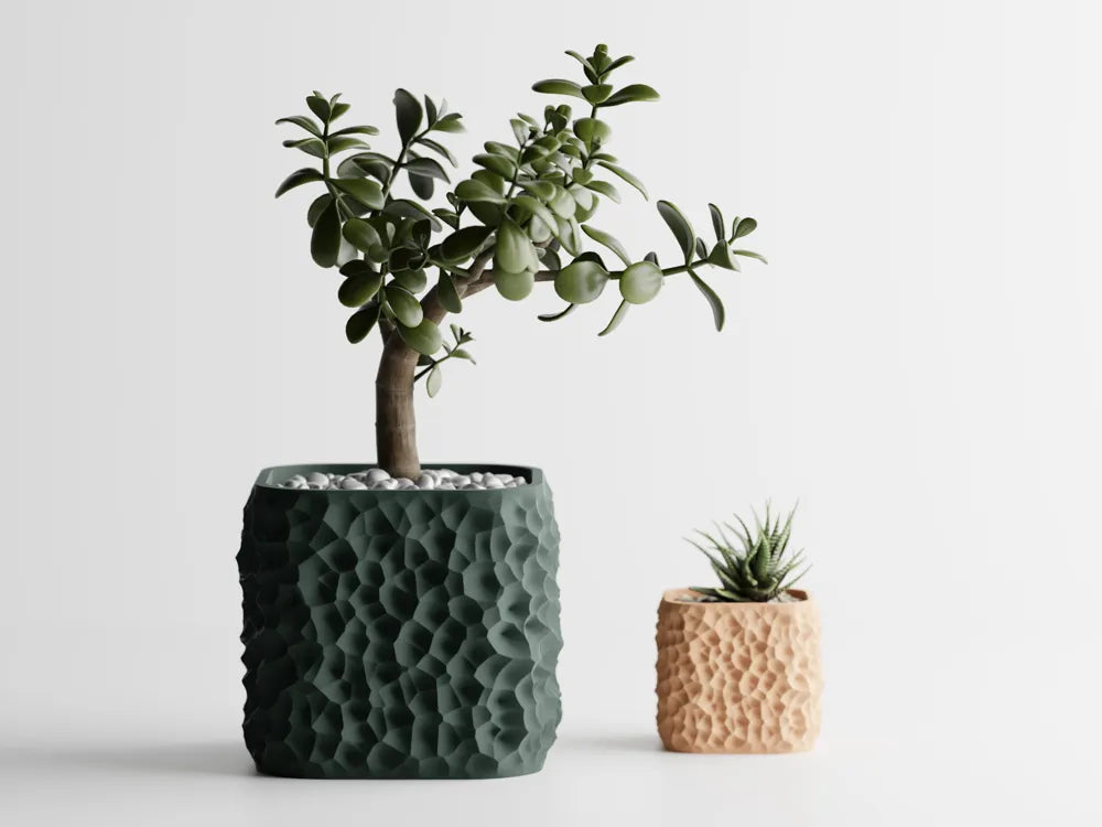 Chậu Cây Địa Tầng Voronoi