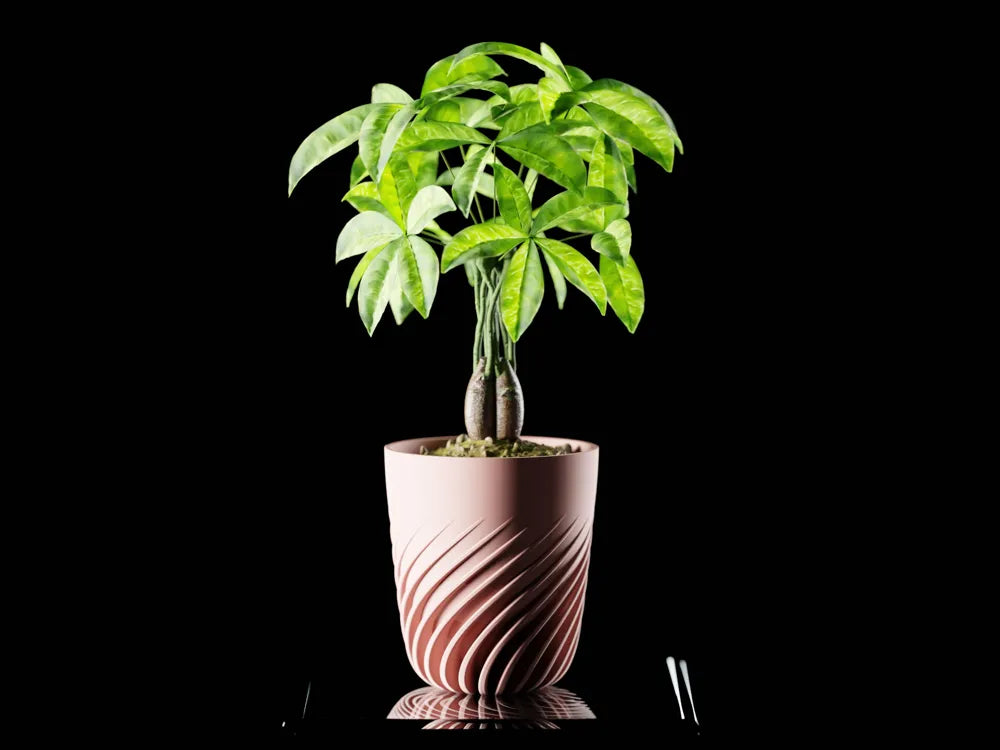 Chậu Cây Xoắn Sóng Nghệ Thuật