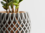 Chậu Cây Đan Lớp Nghệ Thuật