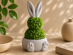 Chậu Cây Thỏ Trang Trí Modular
