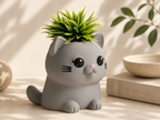 Chậu Cây Mèo Con Dễ Thương