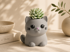 Chậu Cây Mèo Con Dễ Thương