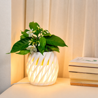 Chậu Cây Decor 3D Tích Hợp Đèn Vàng Ấm