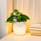 Chậu Cây Decor 3D Tích Hợp Đèn Vàng Ấm