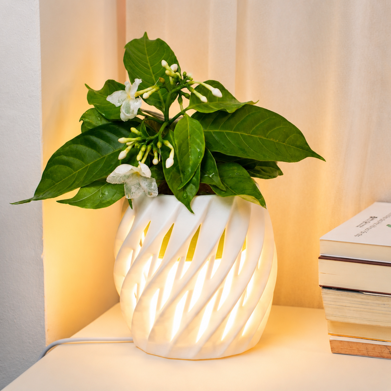 Chậu Cây Decor 3D Tích Hợp Đèn Vàng Ấm