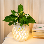 Chậu Cây Decor 3D Tích Hợp Đèn Vàng Ấm